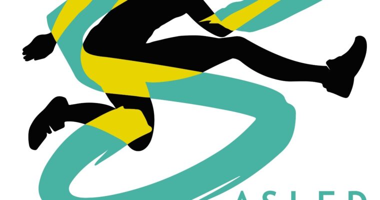 SASLED Project: final report approval